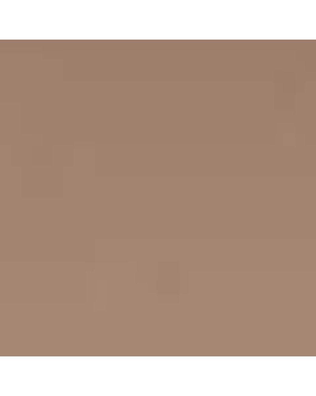 Tom Ford Brown Acetate Leigh-02 Sunglasses