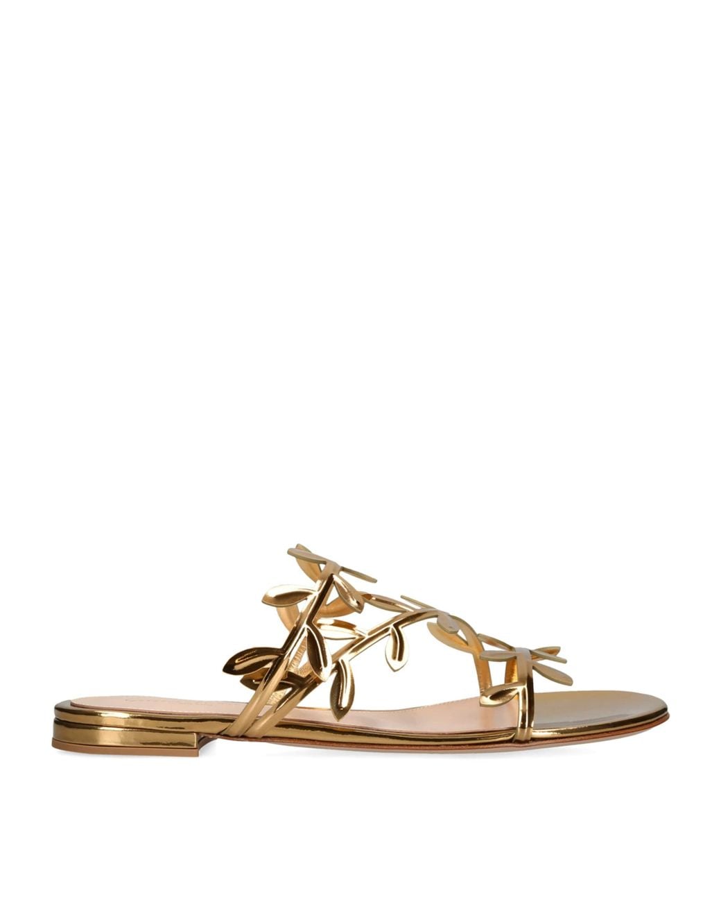 Gianvito Rossi Natural Laurel-Detail Flavia Sandals
