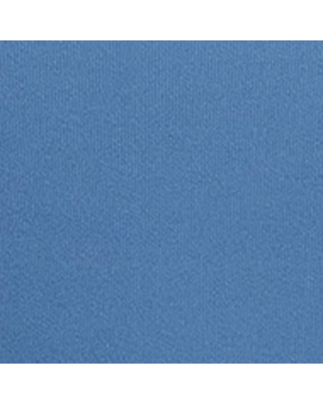 Skims Blue Fits Everybody Cheeky Brief