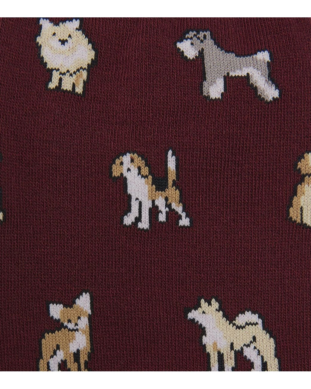 Paul Smith Red Dog Socks for men