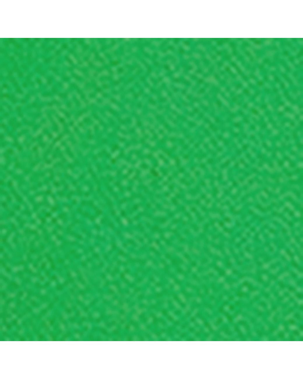 Harrods Green Leather Private Jet Keyring