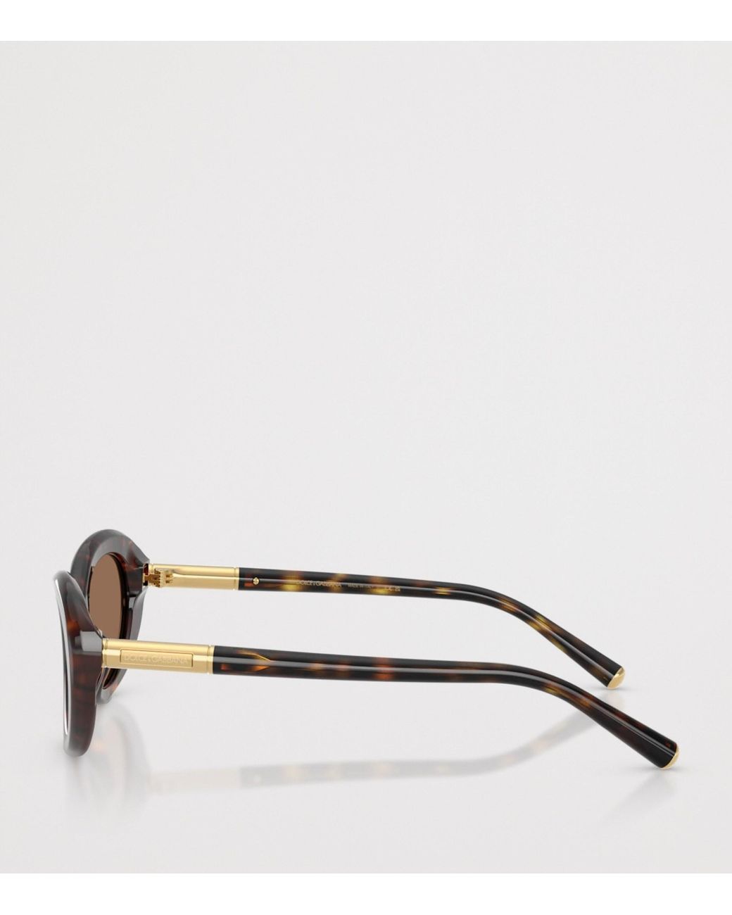 Dolce & Gabbana Brown Acetate Dg4519 Marlene Sunglasses