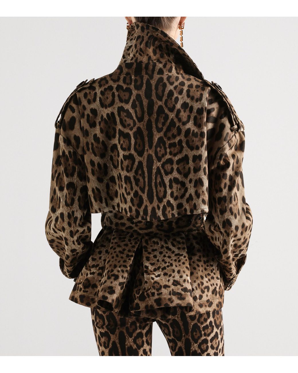 Dolce & Gabbana Brown Leopard Print Jacket