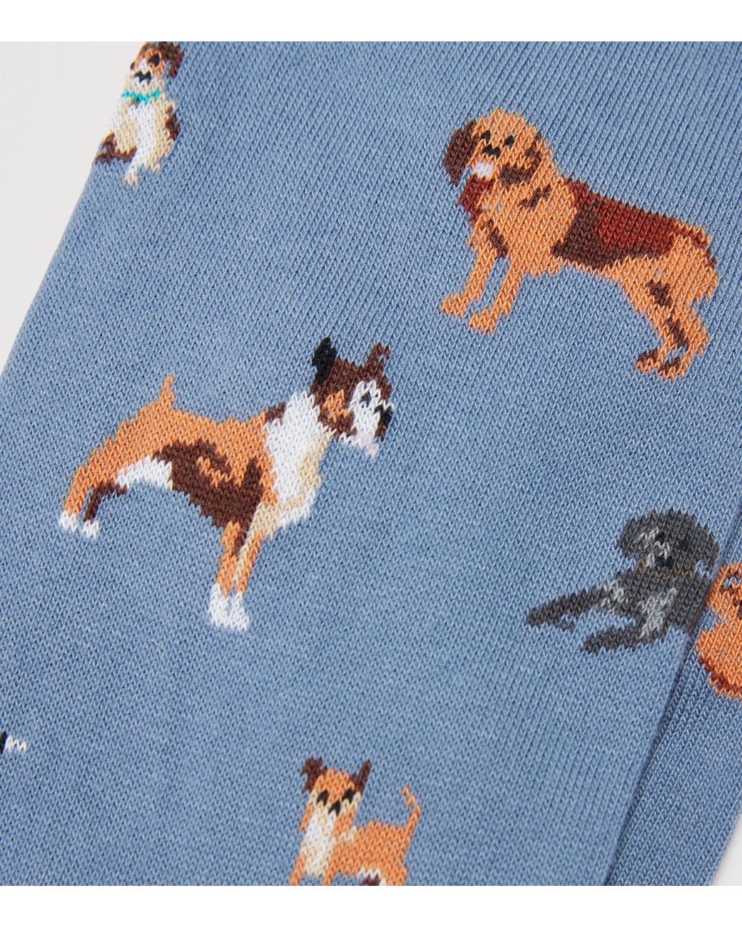 Corgi Blue Jacquard Dog Socks for men