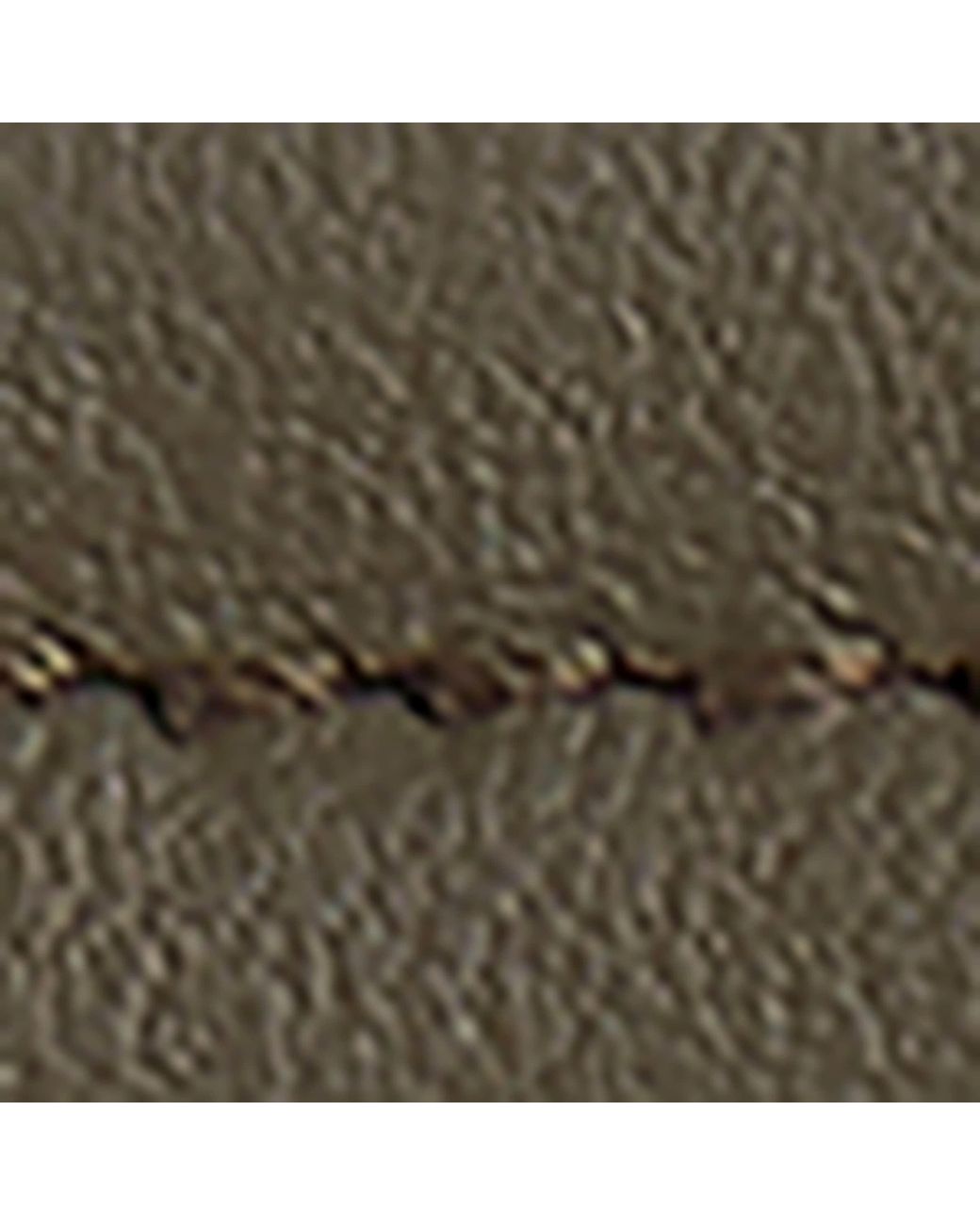 Bottega Veneta Green Leather Sardine Belt