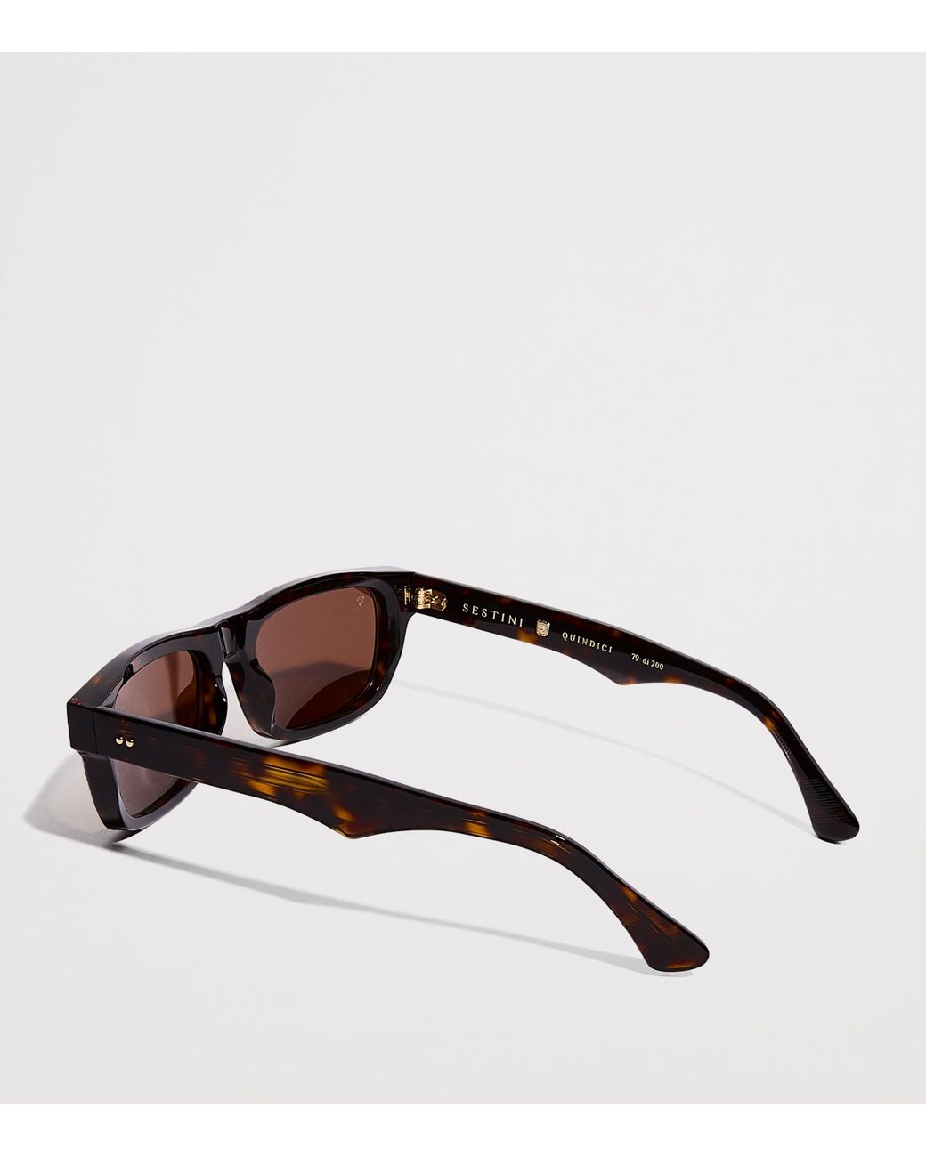 Sestini Eyewear Brown Acetate Quindici Sunglasses for men