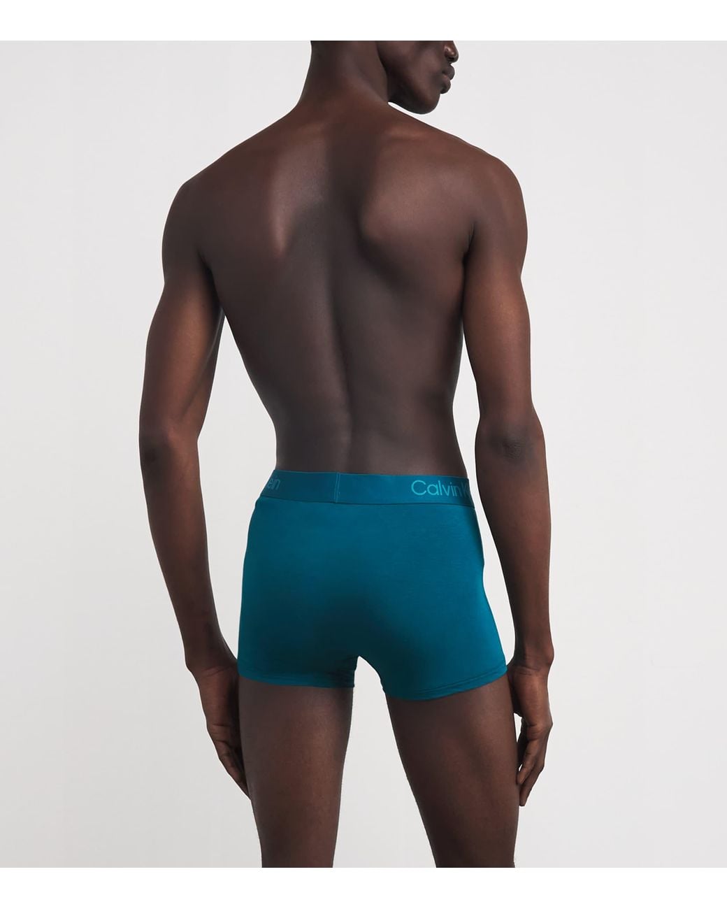 Calvin Klein Blue Ultra Soft Modal Briefs for men