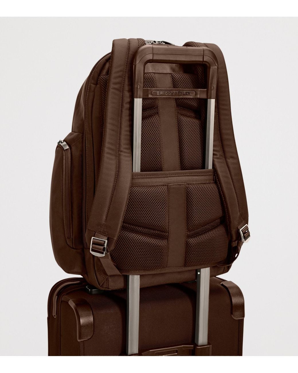 Briggs & Riley Brown Large Cargo Backpack