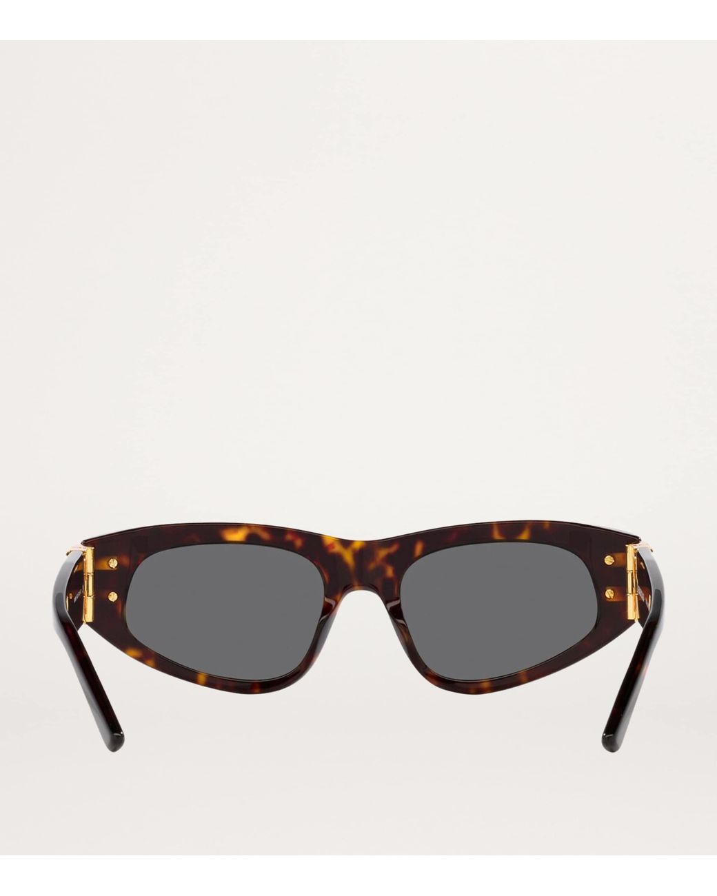 Balenciaga Gray Round Bb0095S Sunglasses