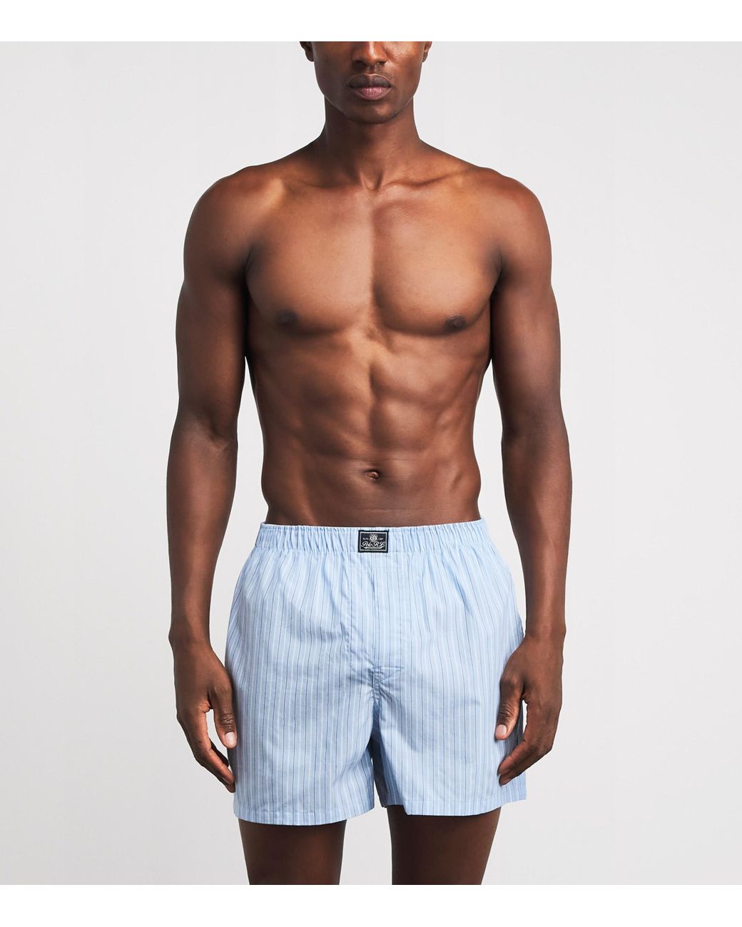 Polo Ralph Lauren Blue Cotton Classic Boxer Shorts for men