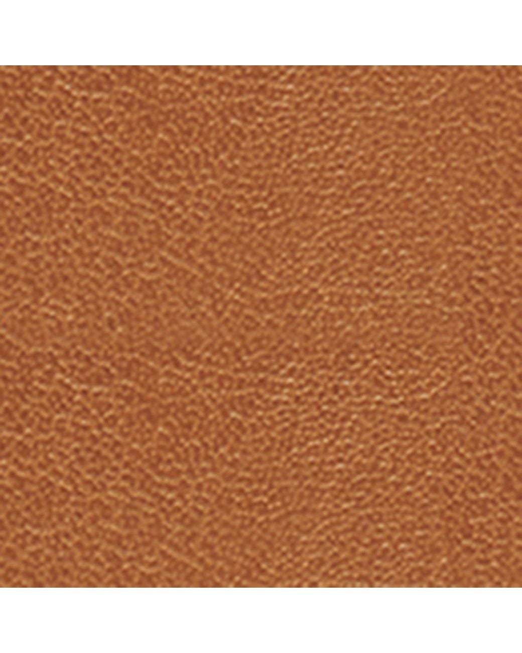 Aspinal Brown Leather Iphone 16 Pro Max Case