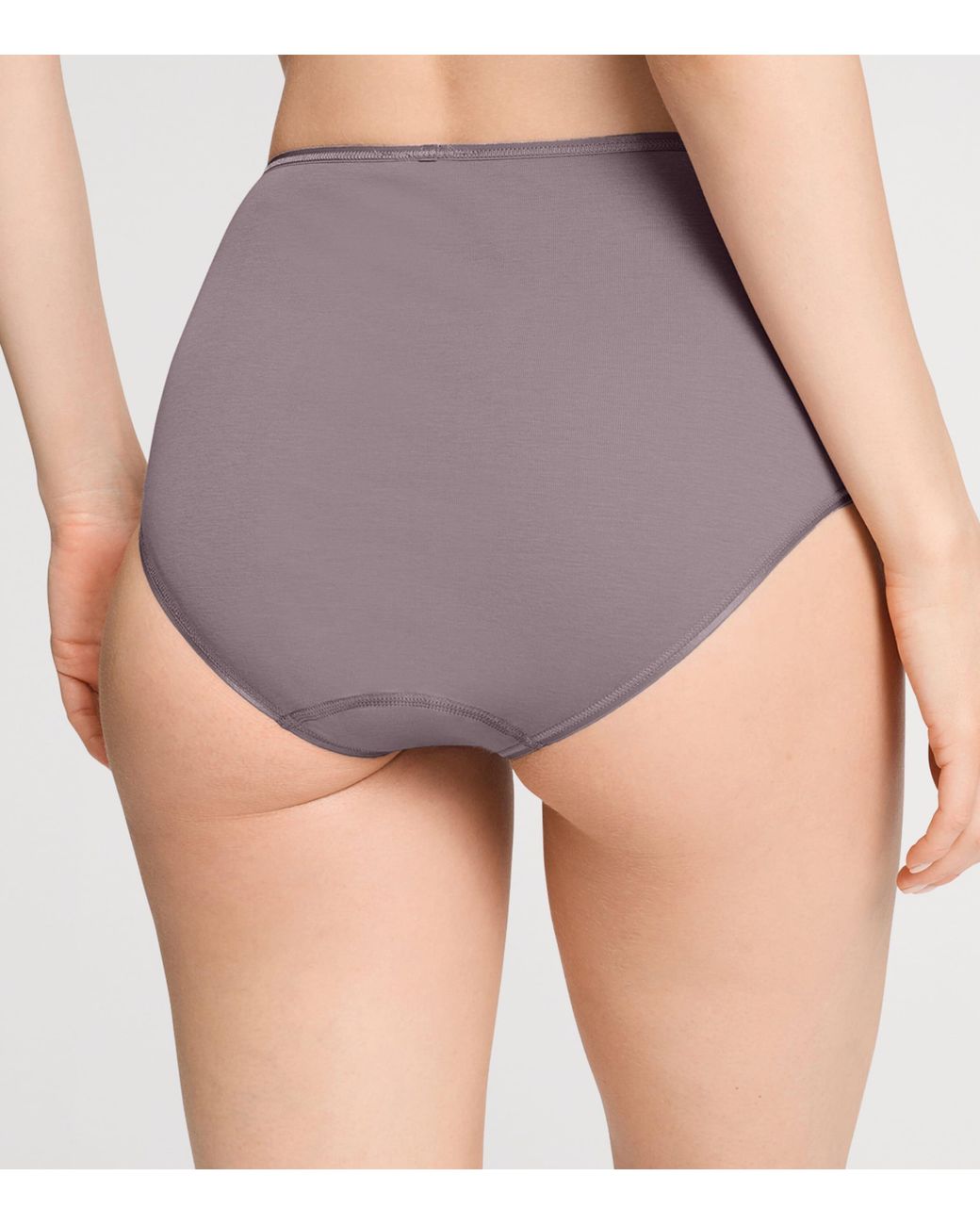 Hanro Purple Cotton Maxi Briefs
