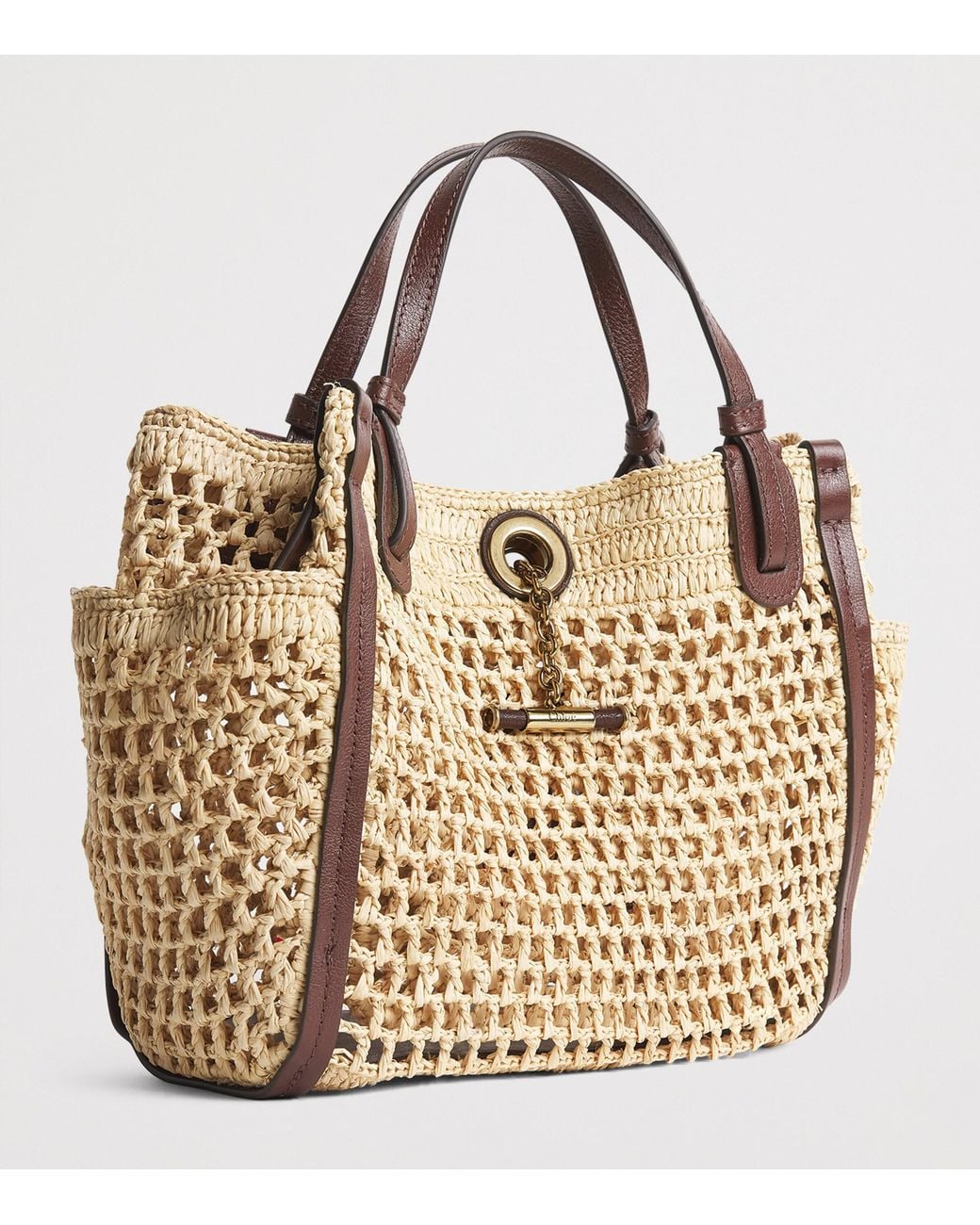Chloé Metallic Small Raffia Iconic Double Carry Bag