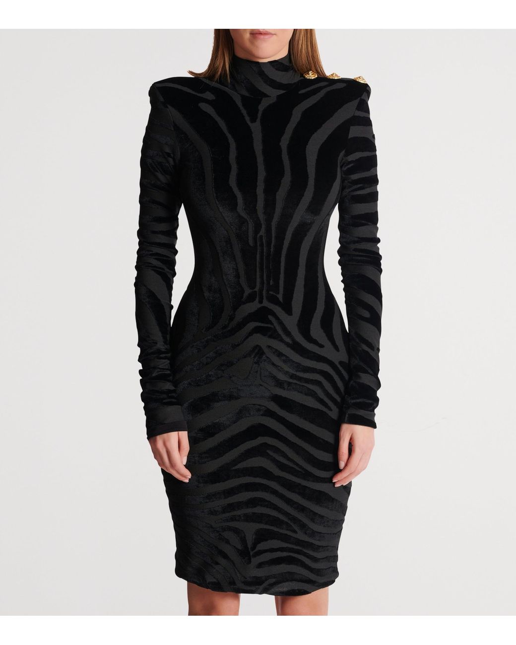 Balmain Velvet Zebra Print Mini Dress in Black