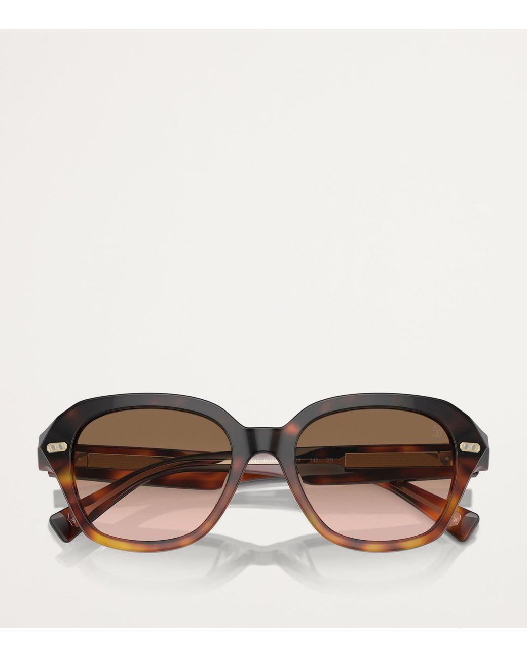 Brunello Cucinelli Brown Titanium Bc4004S Sunglasses