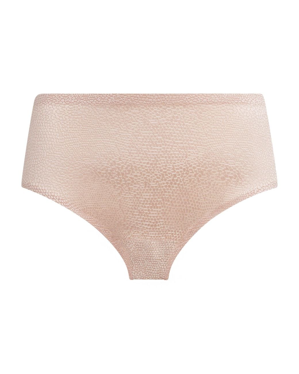 Wacoal Natural Beauté Appeal Briefs