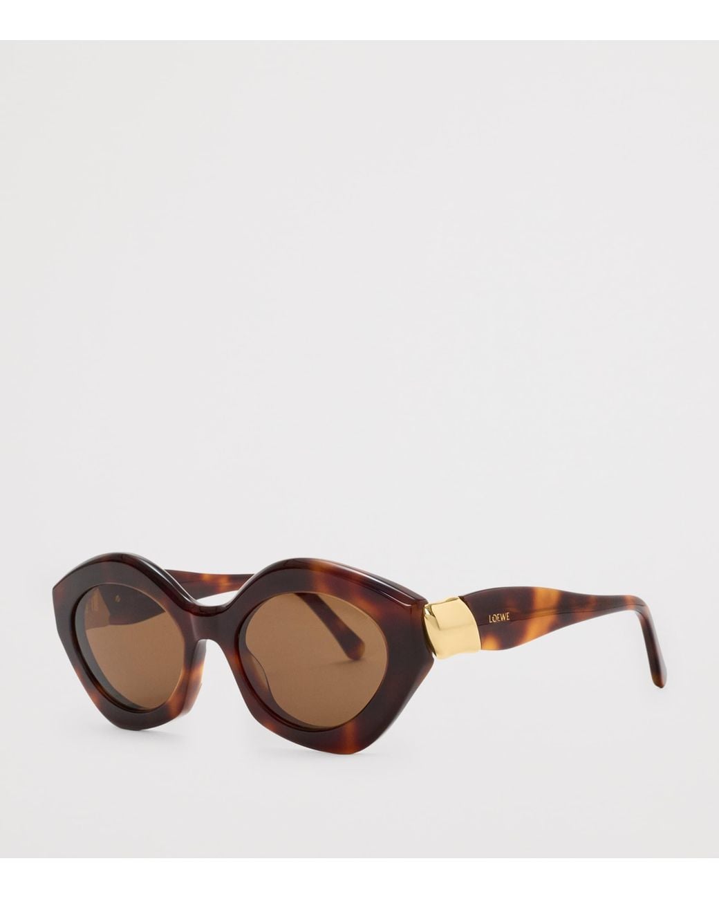 Loewe Brown Acetate Coil Cat Eye Sunglasses