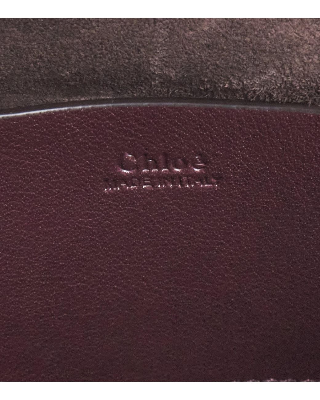 Chloé Brown Mini Leather Banana Top-Handle Bag