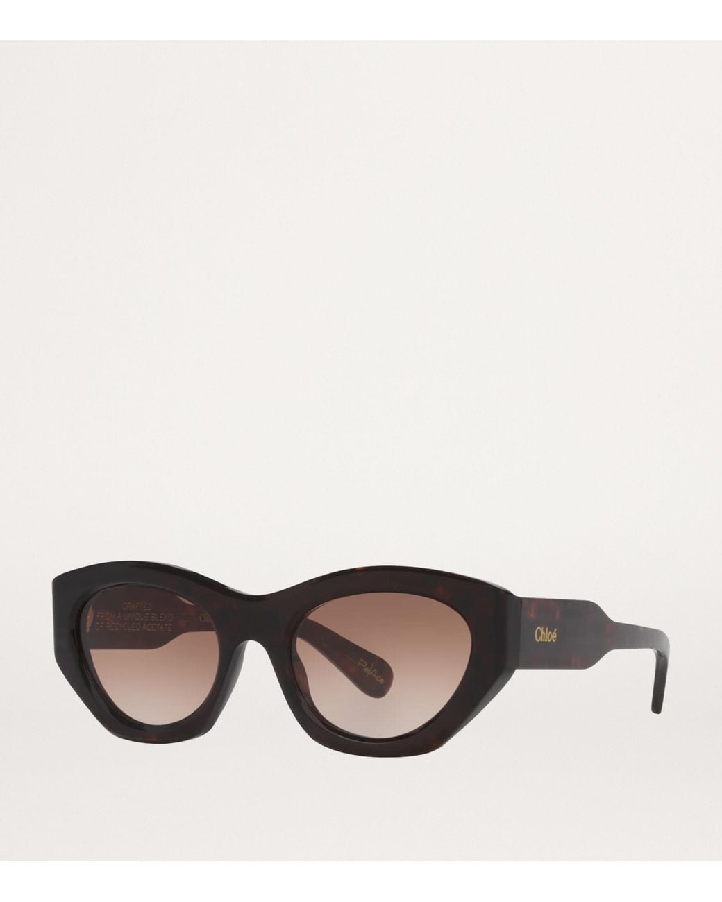 Chloé Brown Acetate Ch0220S Sunglasses