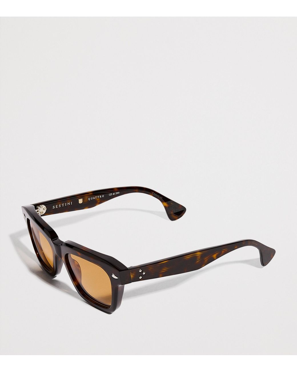 Sestini Eyewear Brown Acetate Quattro Sunglasses for men