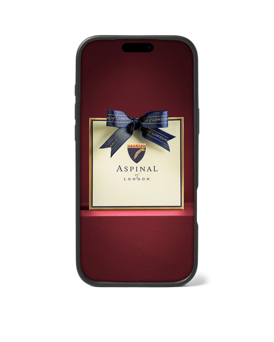 Aspinal Black Grained Leather Iphone 17 Pro Case