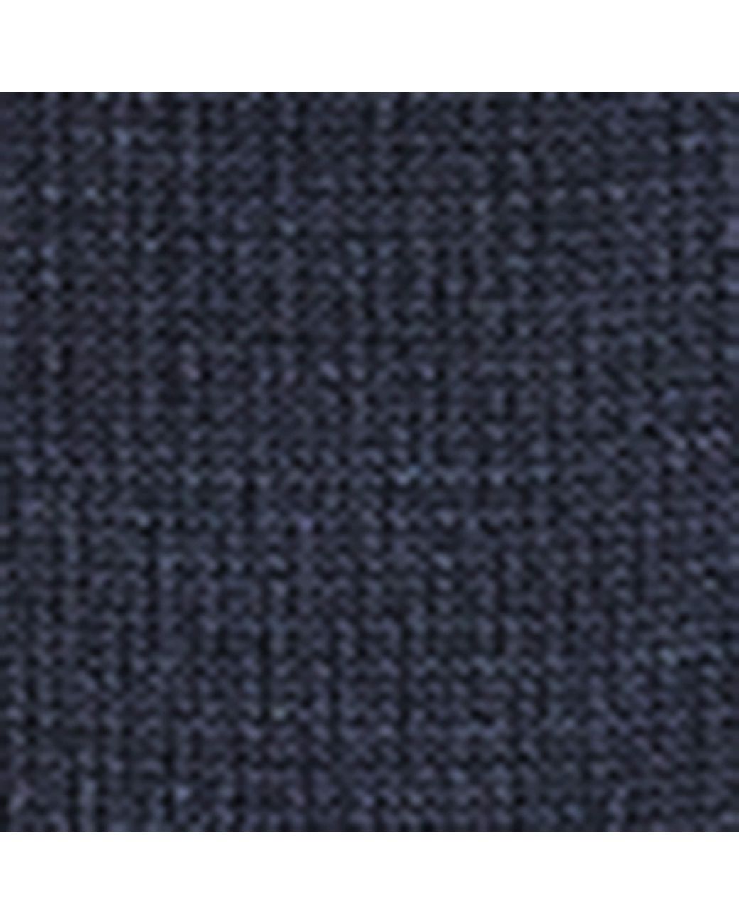 Falke Blue Tiago Socks for men
