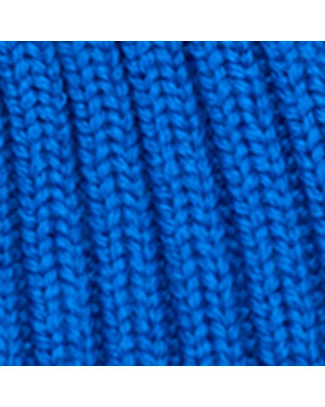 Loewe Blue Wool Ribbed Logo Beanie
