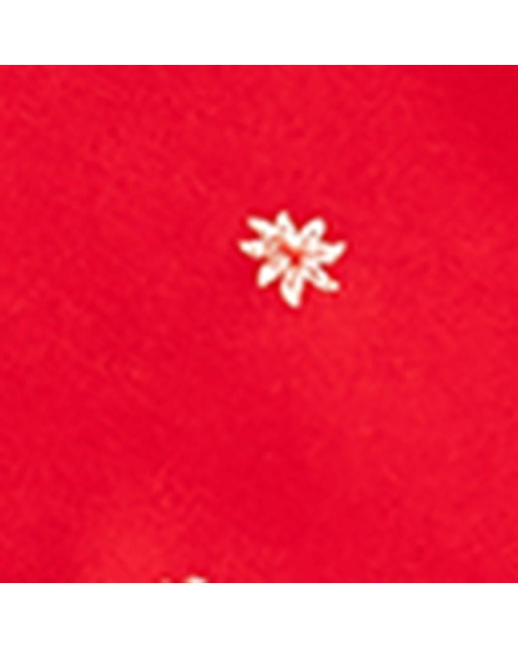 Claudie Pierlot Red Silk Printed Square Scarf