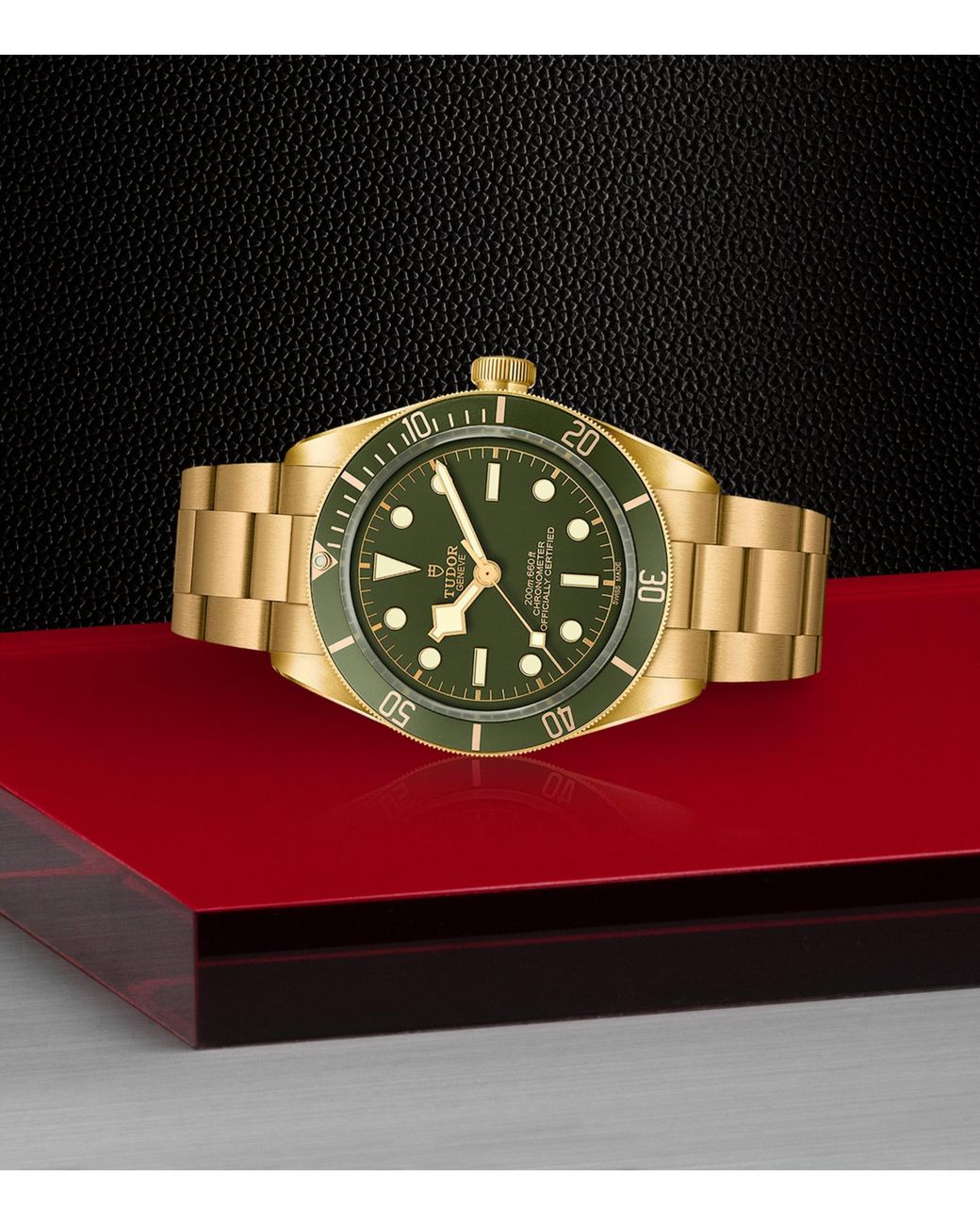 Tudor Metallic Bay Watch for men