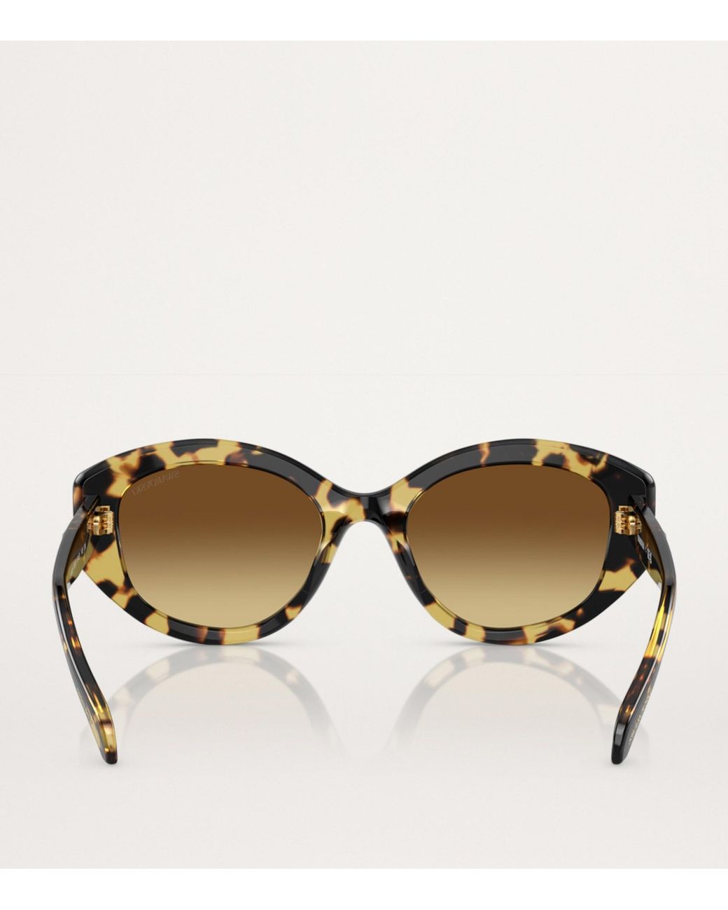 Swarovski Brown Oval Sk6005 Sunglasses