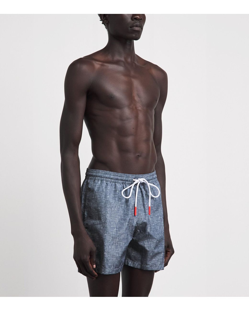 Isaia Blue Printed Swim Shorts for men