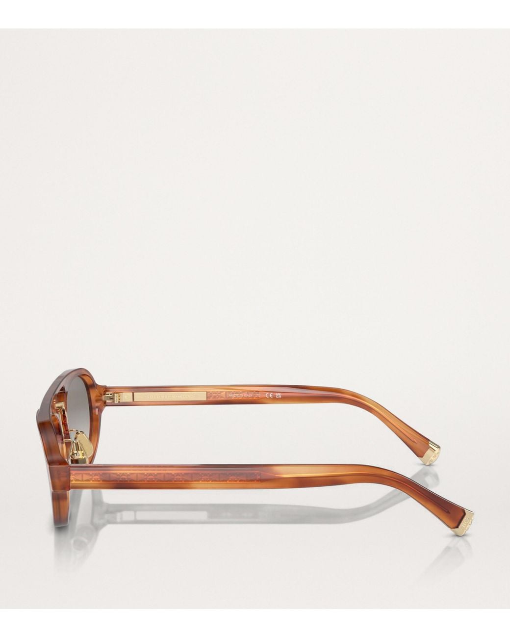 Brunello Cucinelli Brown Acetate Bc4008S Sunglasses