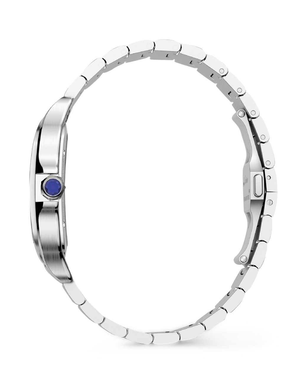 Cartier Metallic Large Steel Santos De Skeleton Watch for men