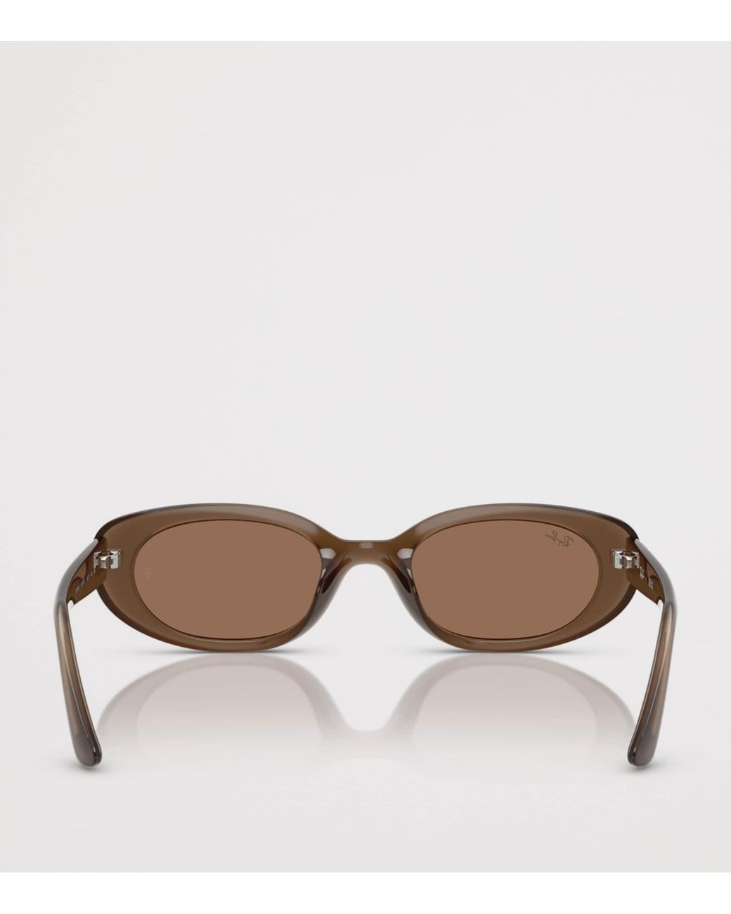Ray-Ban Brown Injected Oval Sunglasses