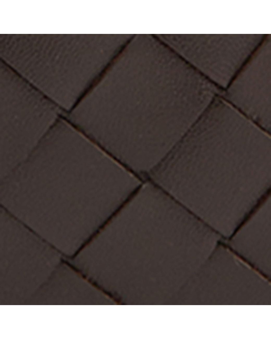 Bottega Veneta Brown Leather Dustbag Shoulder Bag