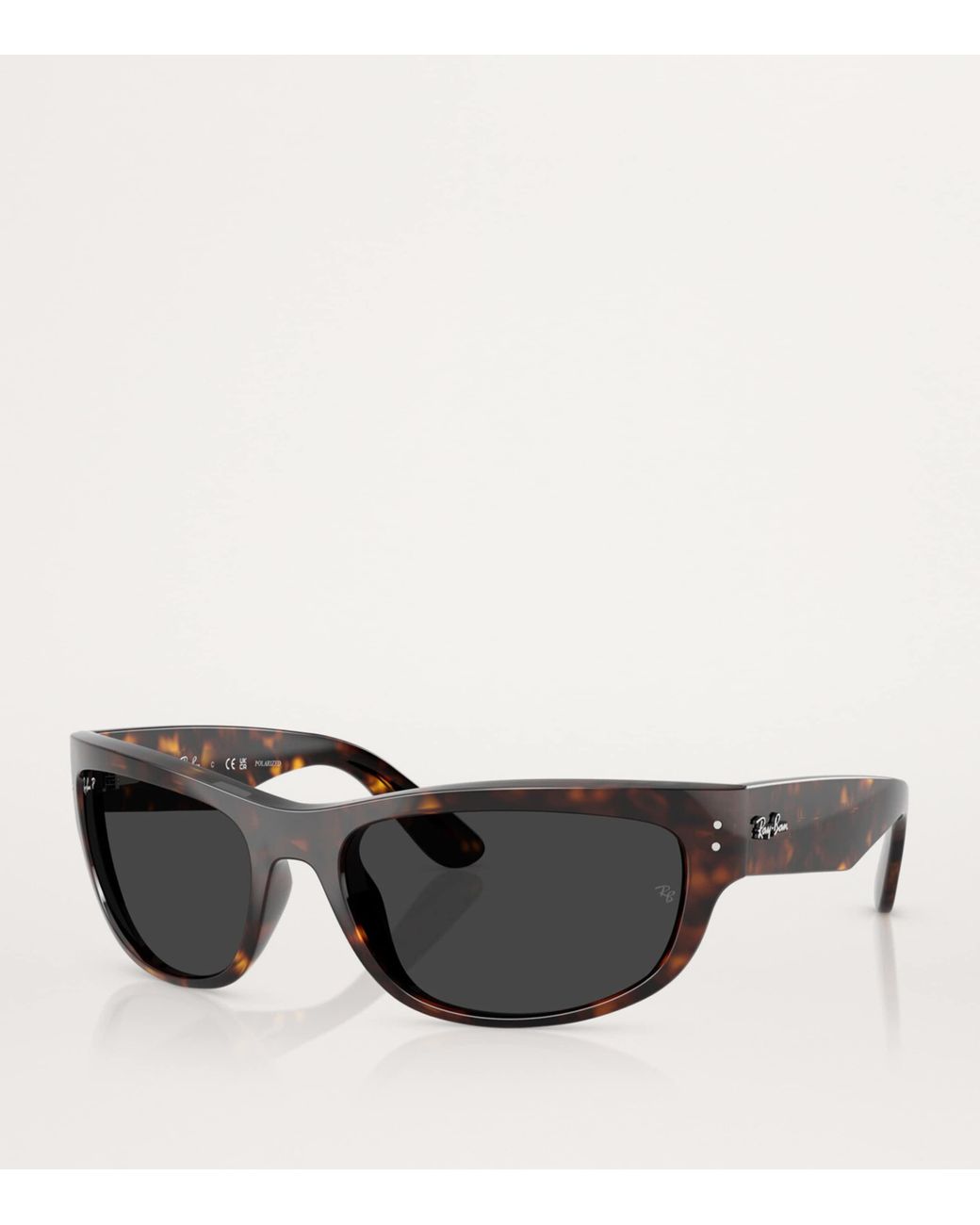 Ray-Ban Black Rb2289 Mega Balorama Sunglasses