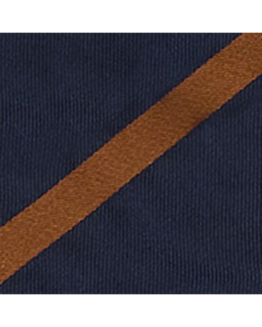Dunhill Blue Silk Printed Tie for men