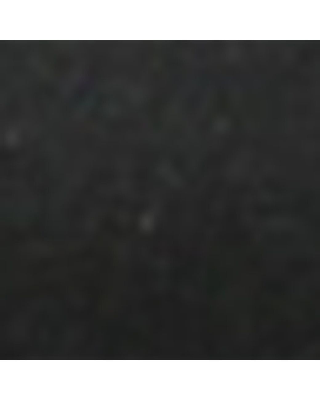 Roger Vivier Black Mini Flower Strass Heeled Sandals 65