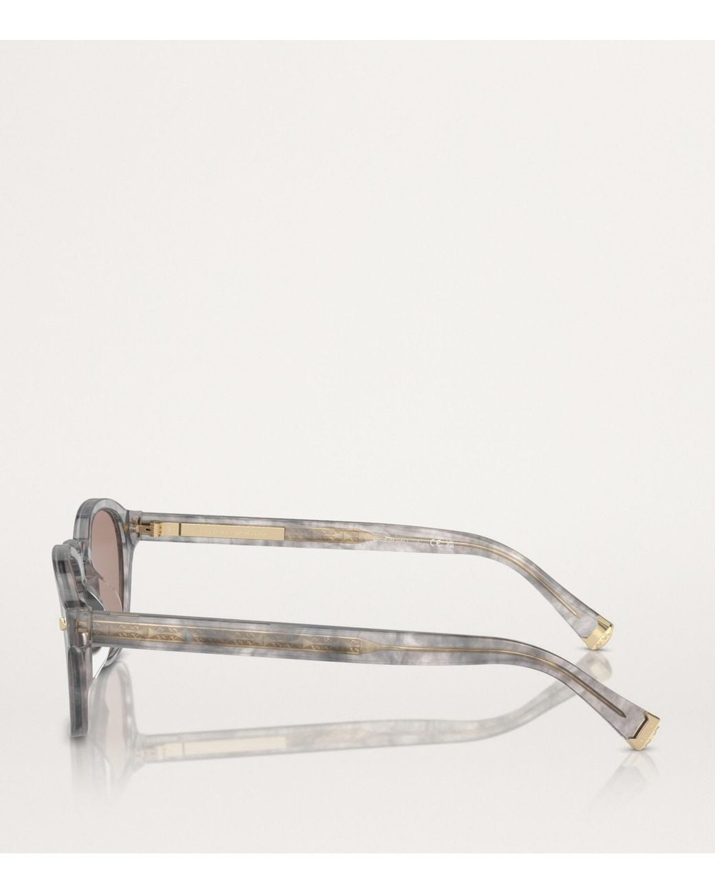 Brunello Cucinelli Brown Acetate Bc4006S Sunglasses