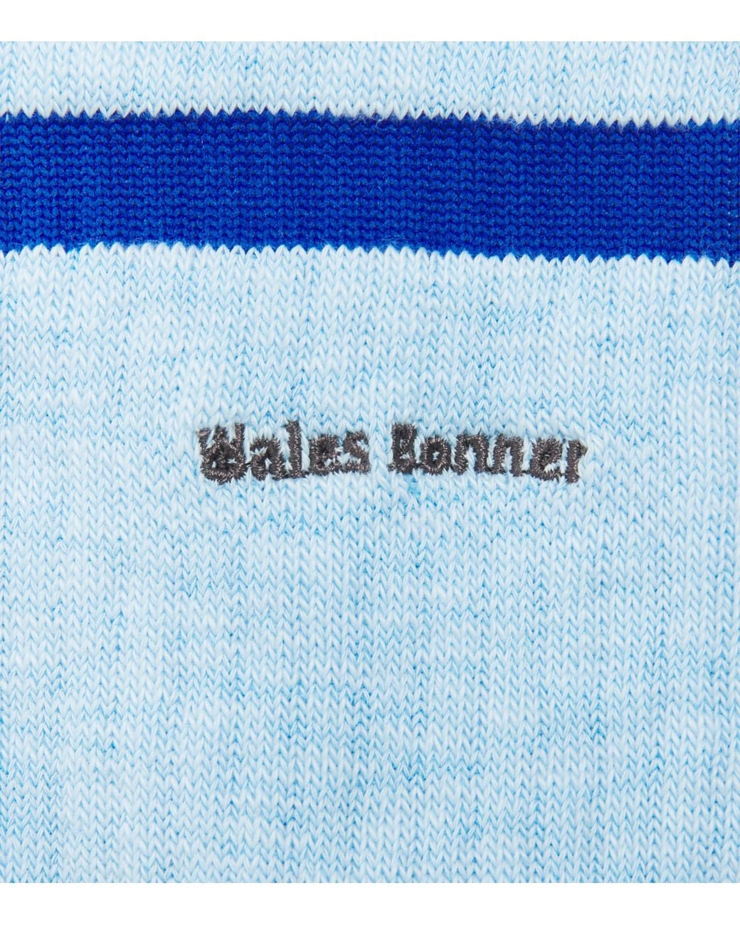Adidas Blue X Wales Bonner Stripe Socks for men