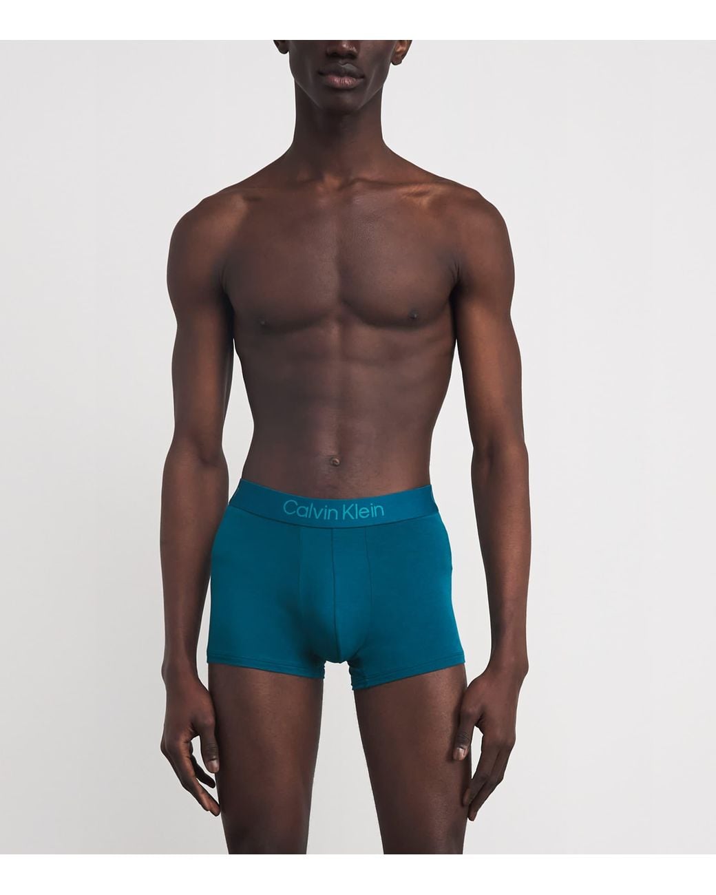 Calvin Klein Blue Ultra Soft Modal Briefs for men