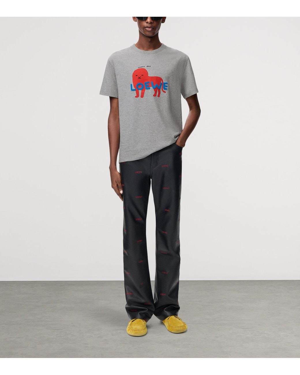 Loewe Gray Cotton Relaxed Lion T-Shirt for men