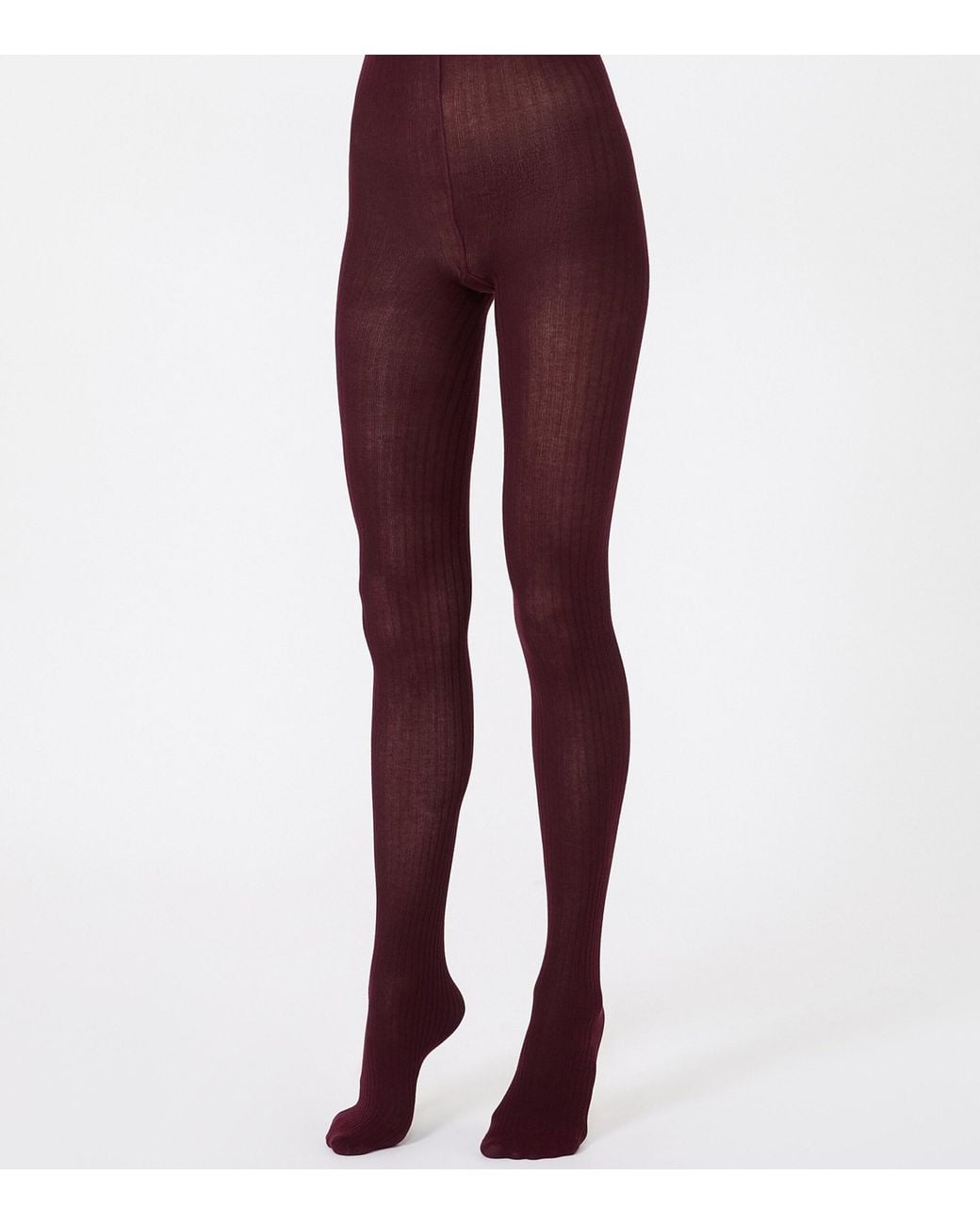 Max Mara Purple Stretch-Cotton Rib-Knit Tights