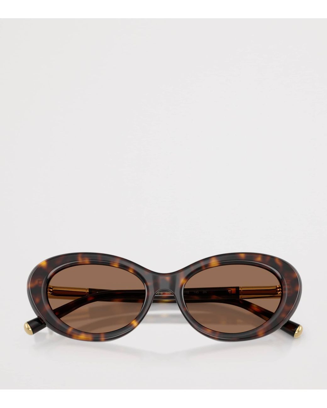 Dolce & Gabbana Brown Acetate Dg4519 Marlene Sunglasses