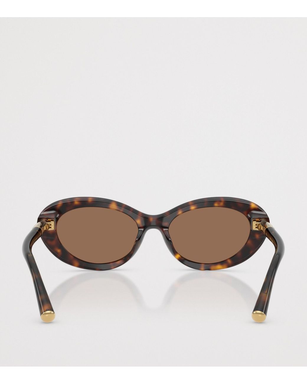 Dolce & Gabbana Brown Acetate Dg4519 Marlene Sunglasses
