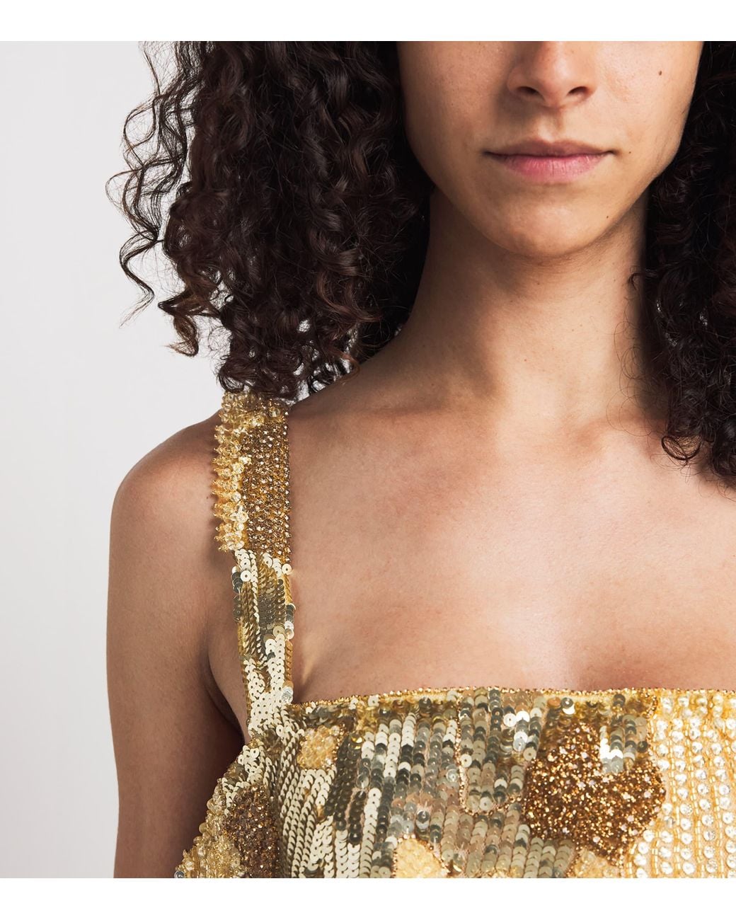 Rachel Gilbert Metallic Embellished Elyse Maxi Dress