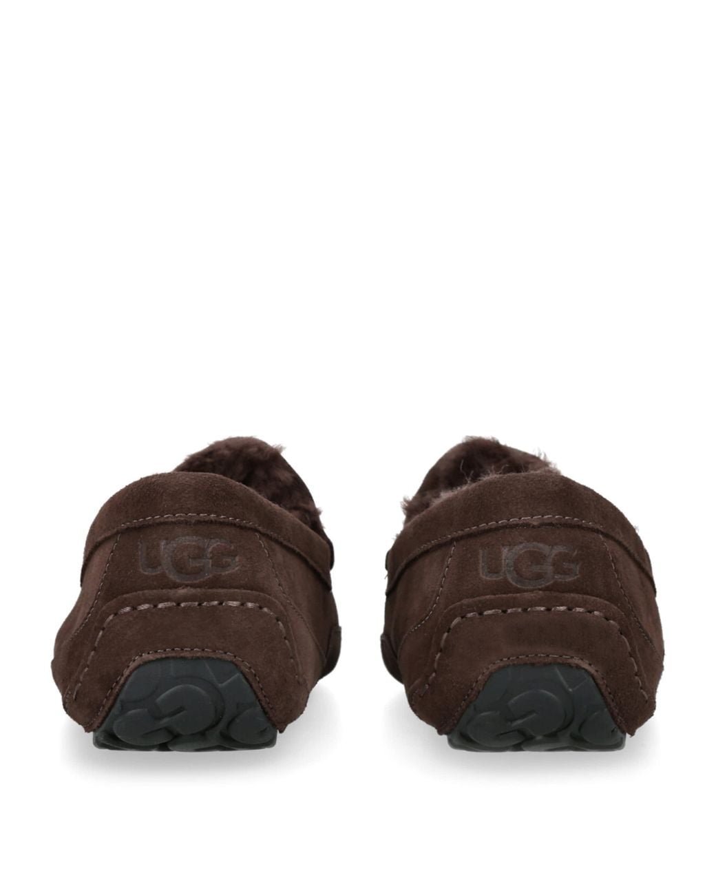 Ugg Brown Ascot Slipper for men