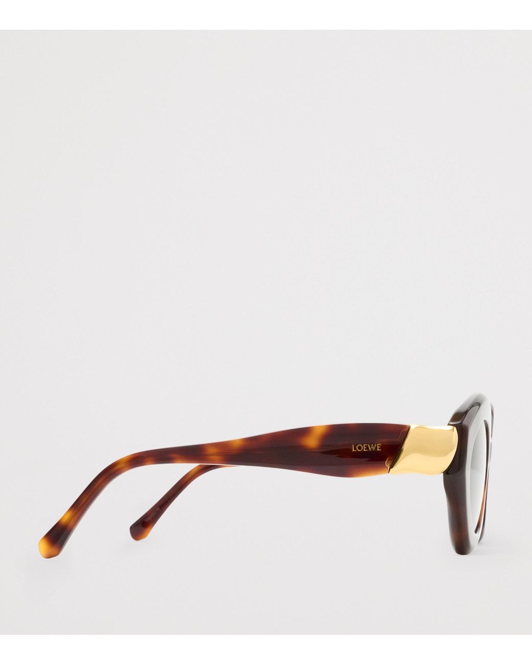 Loewe Brown Acetate Coil Cat Eye Sunglasses