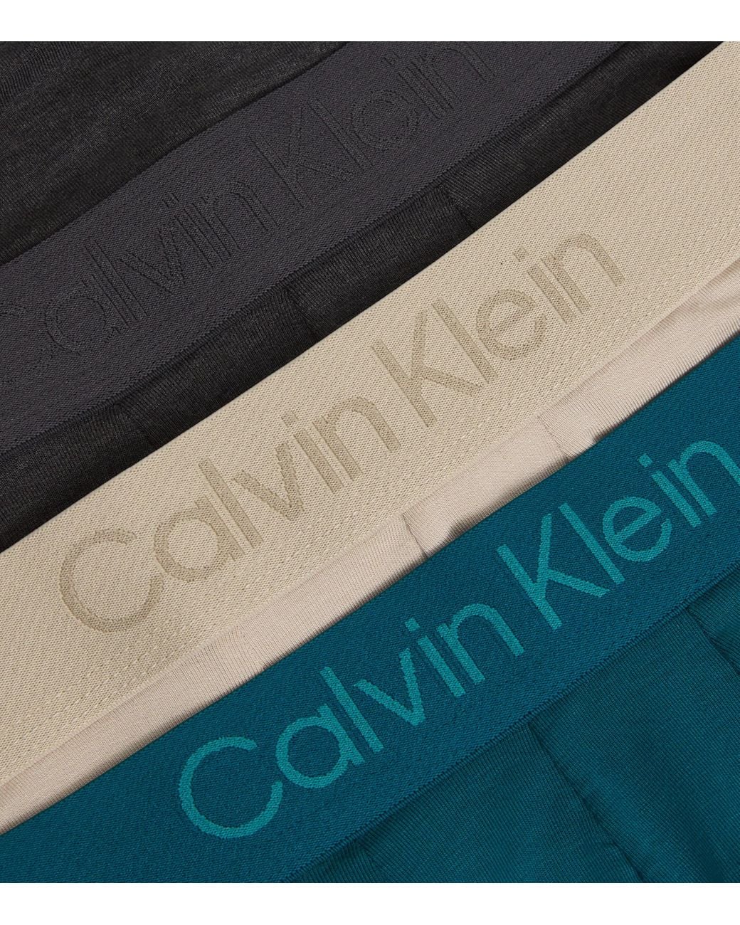 Calvin Klein Blue Ultra Soft Modal Briefs for men