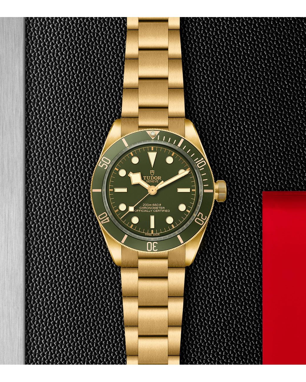 Tudor Metallic Bay Watch for men